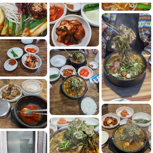 Hanyang Ppyeo Gam-tang