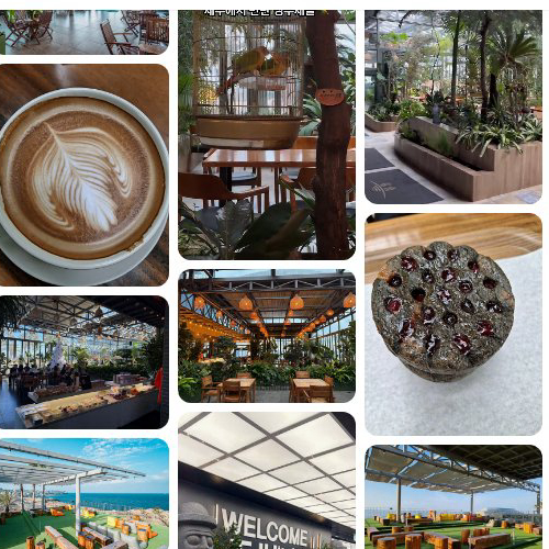 Best cafe in Aewol - Noeulri cafe in Jeju