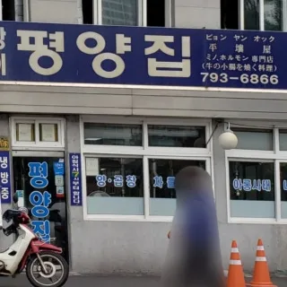 Best intestines in Yongsan - Pyeongyang Jip (평양집)