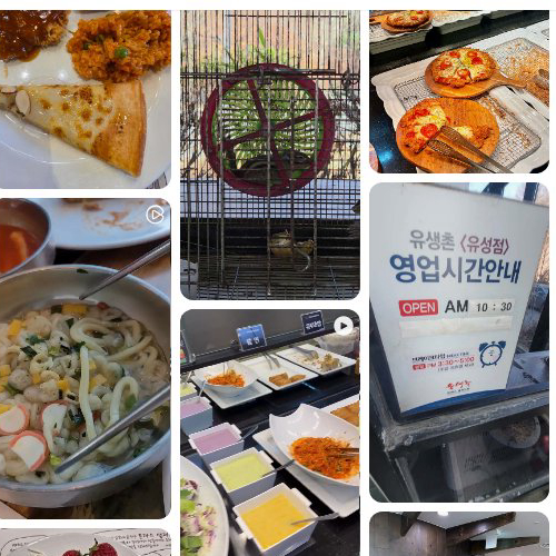 Best Tteokbokki (Rice Cakes in Spicy Sauce) in Yusung - Yusaengchon Daejeon Yuseong Branch