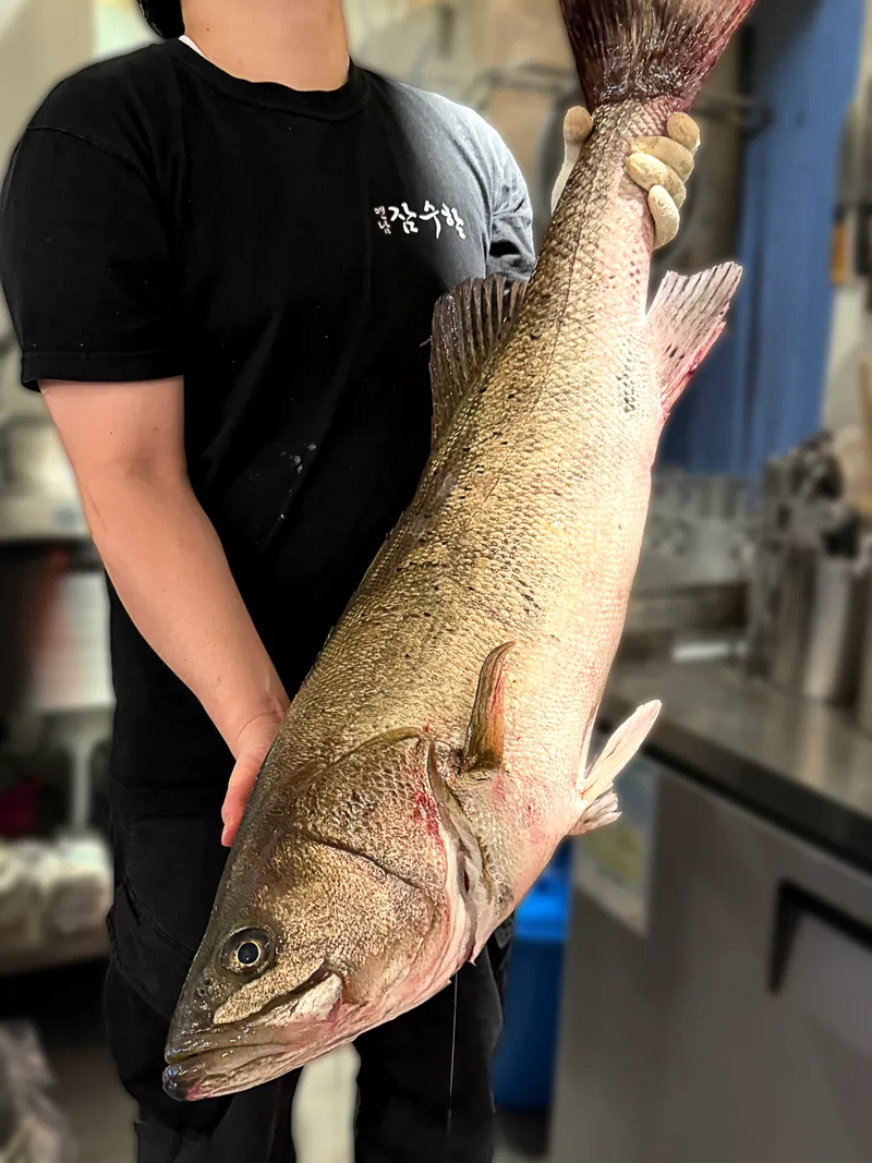 Mejor Seafood en  - 연남 잠수함