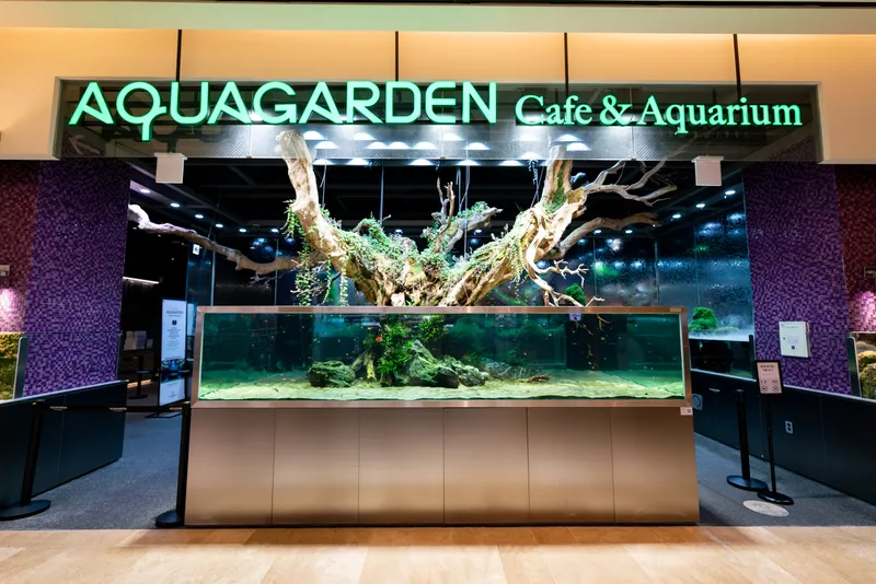 Aqua Garden Cafe Lotte World Mall