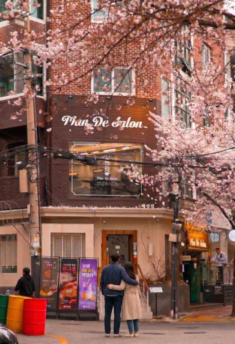 Best Korean Rice Bowl in Hongdae - Haejeongjip