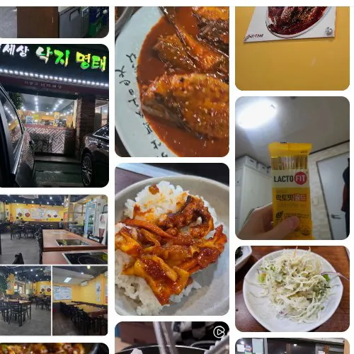 Best Seafood in Nowon - Ijonggu Nakji Sesang
