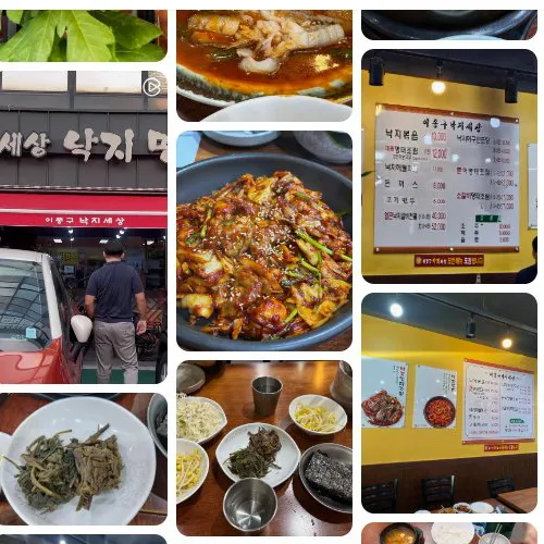 Best Seafood in Nowon - Ijonggu Nakji Sesang
