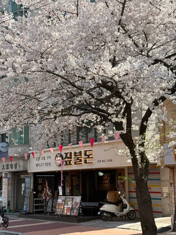 Mejor Marinated Pork Belly en Hapjeong - 짚불돈 합정