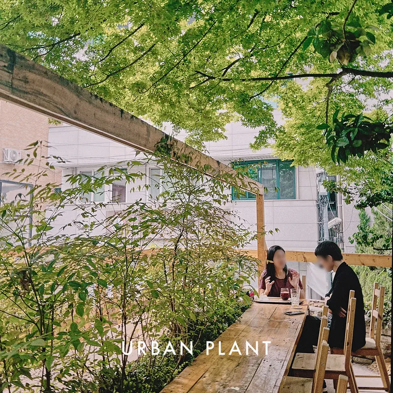 Eobanpeullante Hapjeong