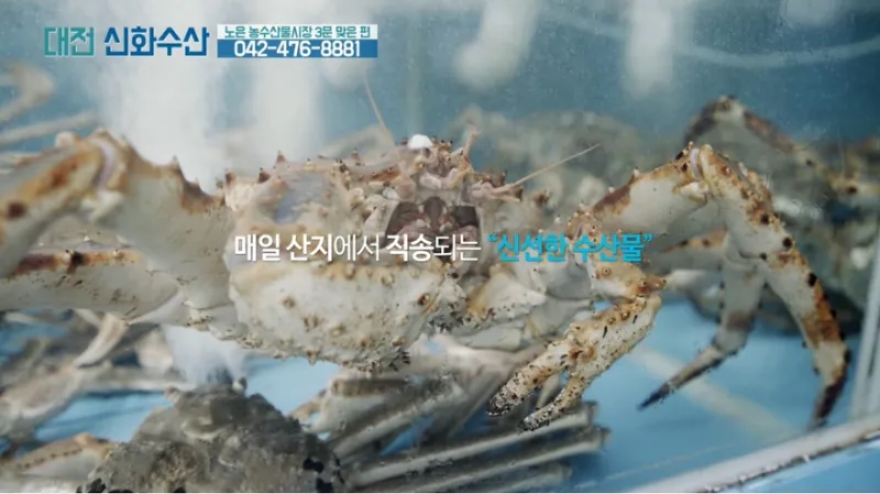 Best Raw Fish in Yuseong - Daejeon Sinhwa Susan Hwareohoe Center