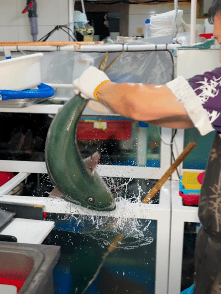 Best Raw fish in Gwangalli - Gwangalli Haerin Hoetjip