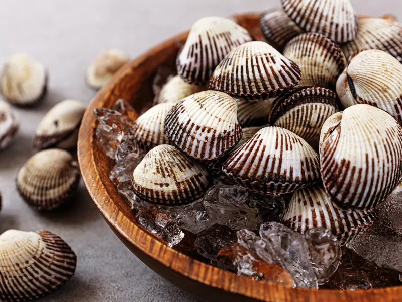 Best Seafood in Gijang - Olbareusikdang Gijang Bonjeom