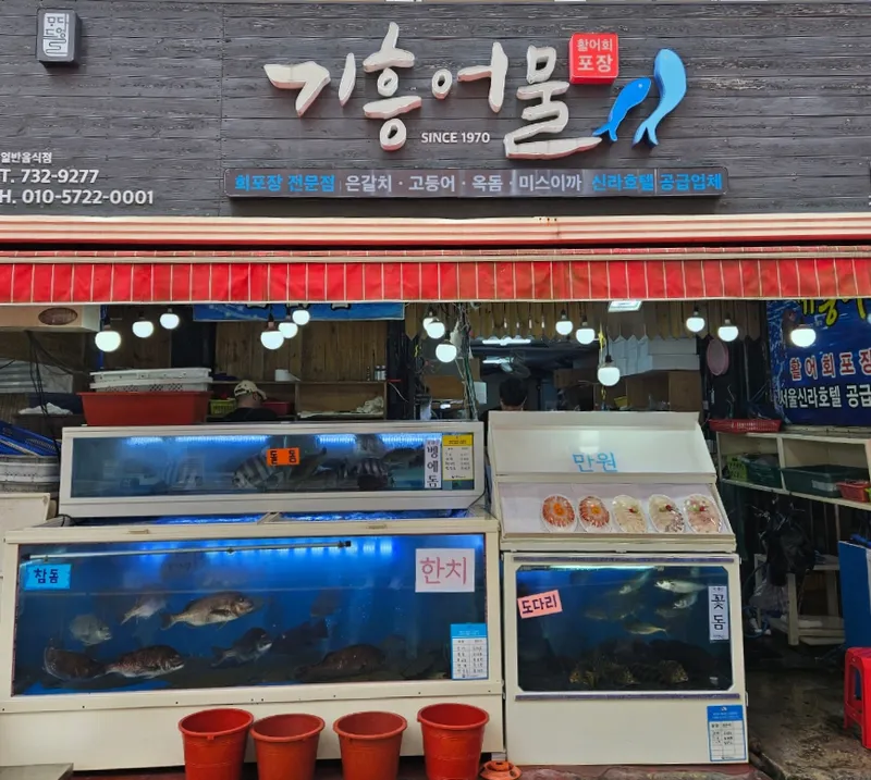 Best Raw Fish in Seogwipo - Giheung Eomul
