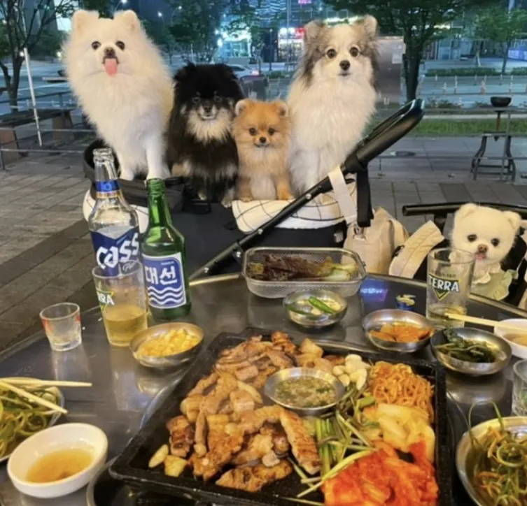 Best Pork Belly in Centum - Hasukjip Centum Bonjeom