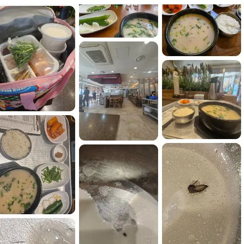 Best Soup & Stew in  - Deodoi Jonggajib Dwaejigukbap Sajik Branch