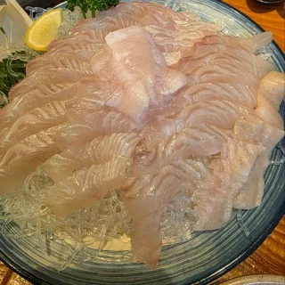 Best Raw Fish in  - Squid World Samsung Branch