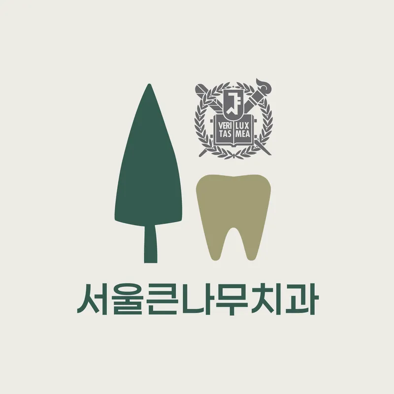 Seoul Big Tree Dental Clinic