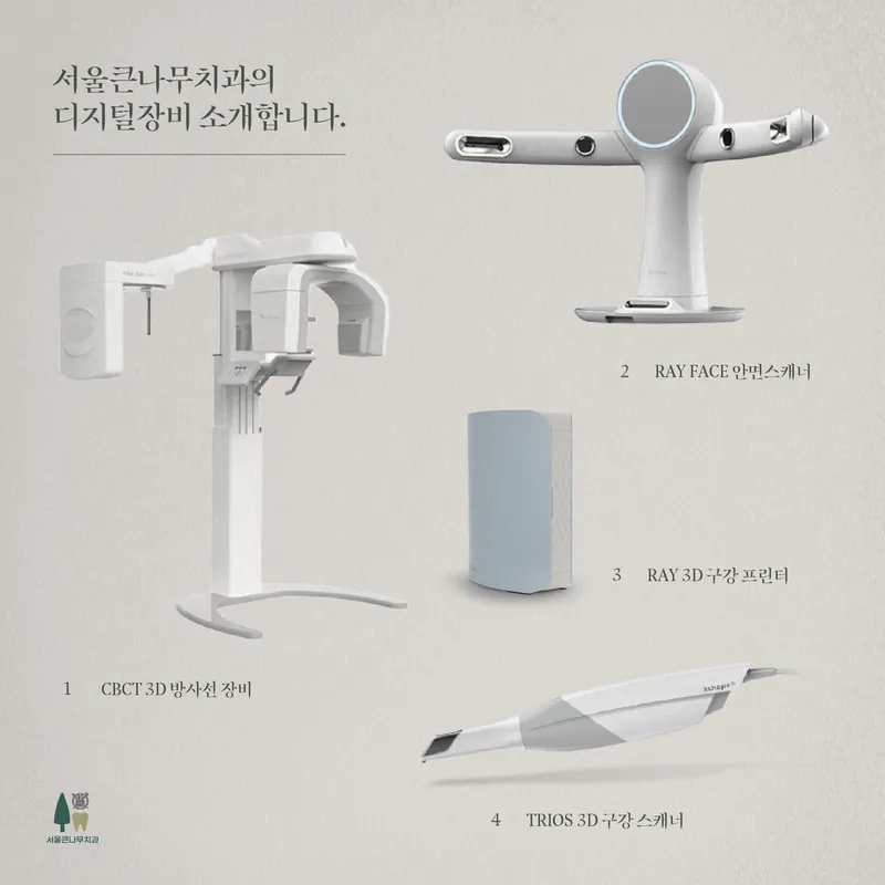 Seoul Big Tree Dental Clinic
