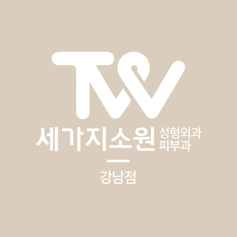 Three Wishes Plastic Surgery Gangnam Branch