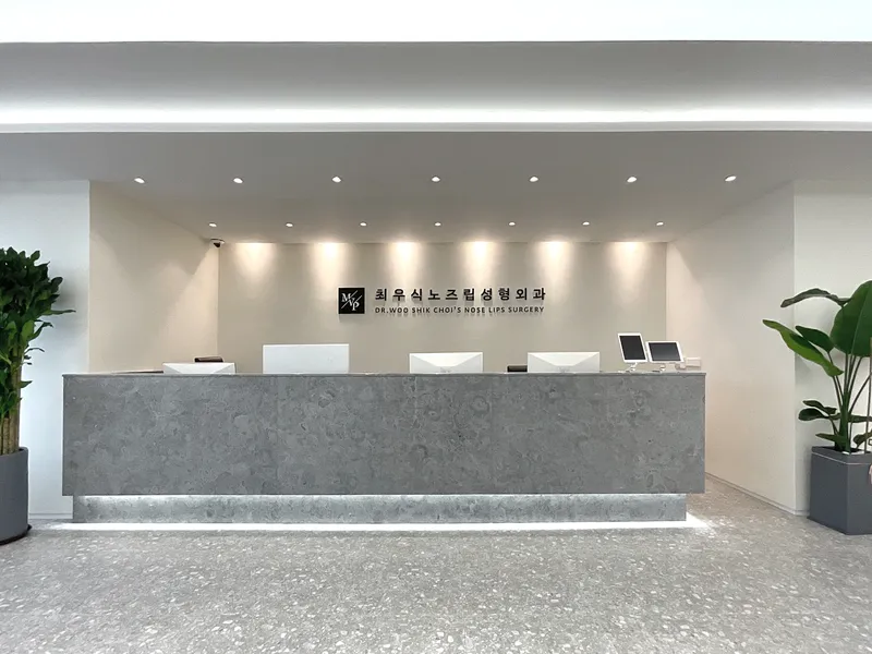 Choi Woo Sik Nose Lip Plastic Surgery Clinic