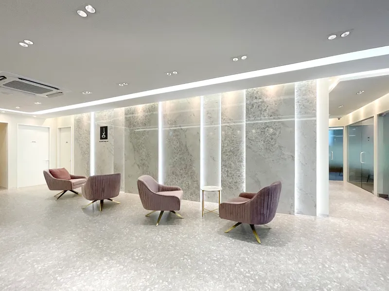Choi Woo Sik Nose Lip Plastic Surgery Clinic