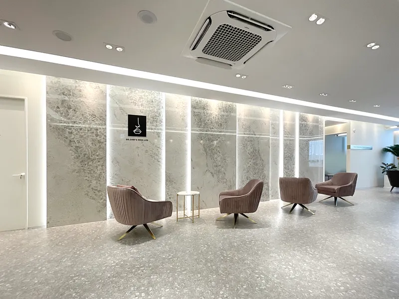 Choi Woo Sik Nose Lip Plastic Surgery Clinic