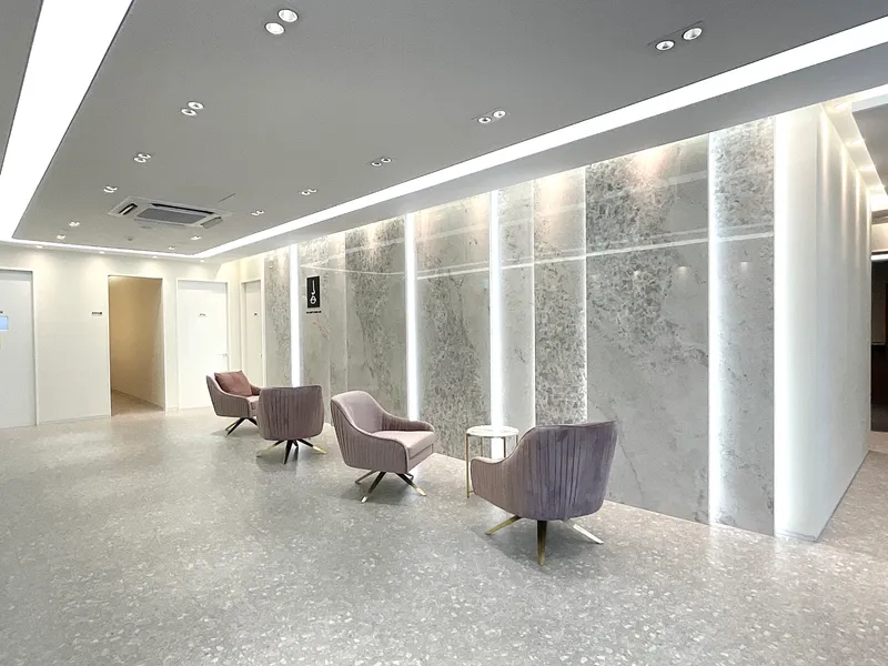 Choi Woo Sik Nose Lip Plastic Surgery Clinic