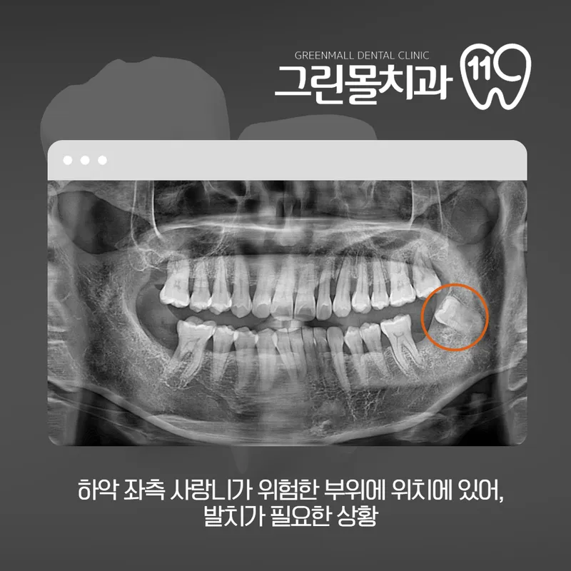 Green Molar Clinic