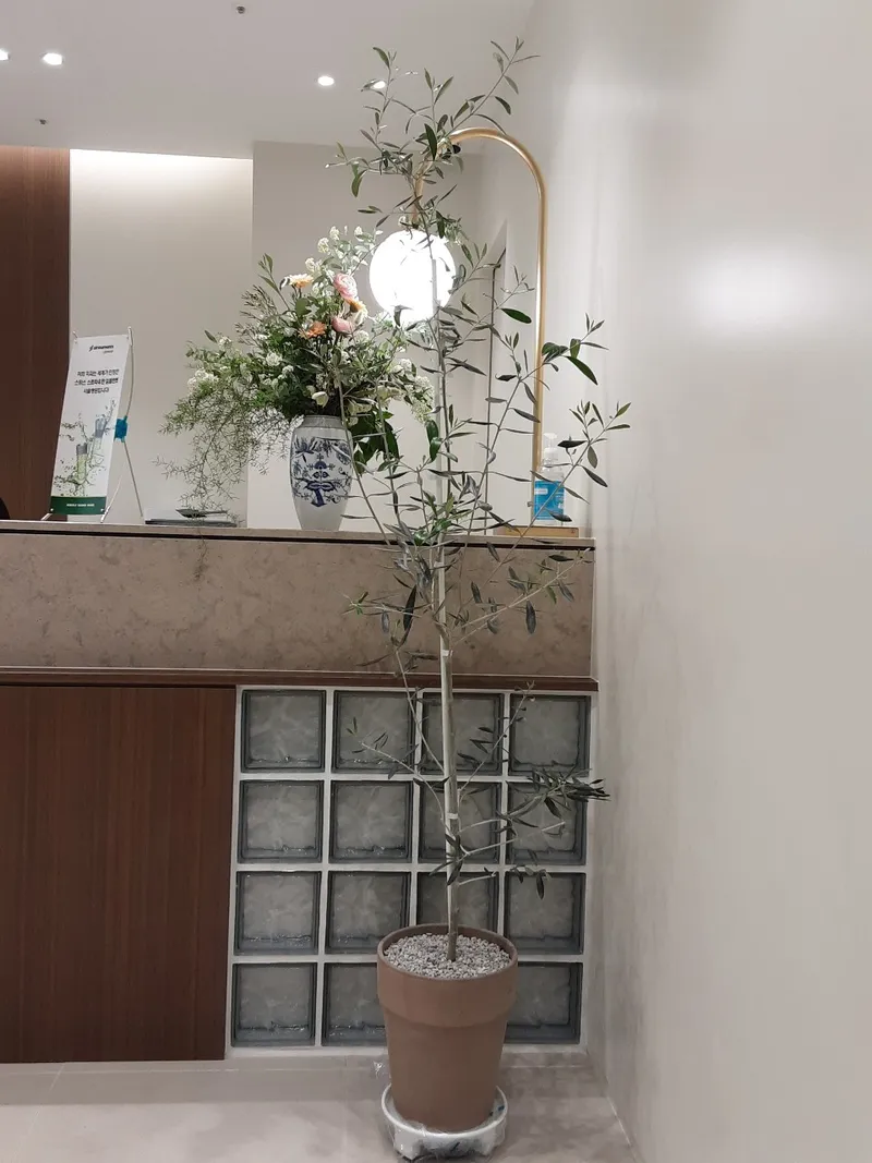 Lee Hyun Won Dental Clinic
