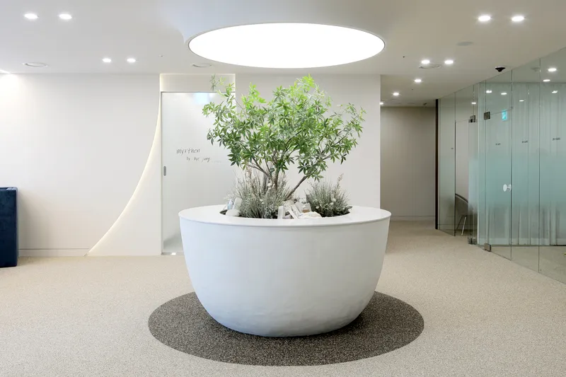 Cheongdam O Aro Dermatology Clinic