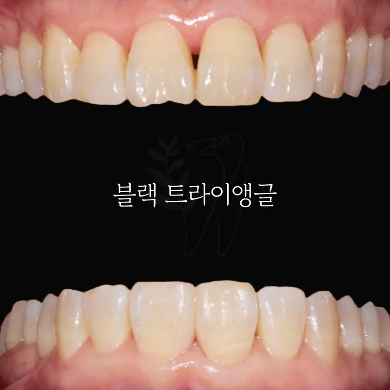 세이지치과의원