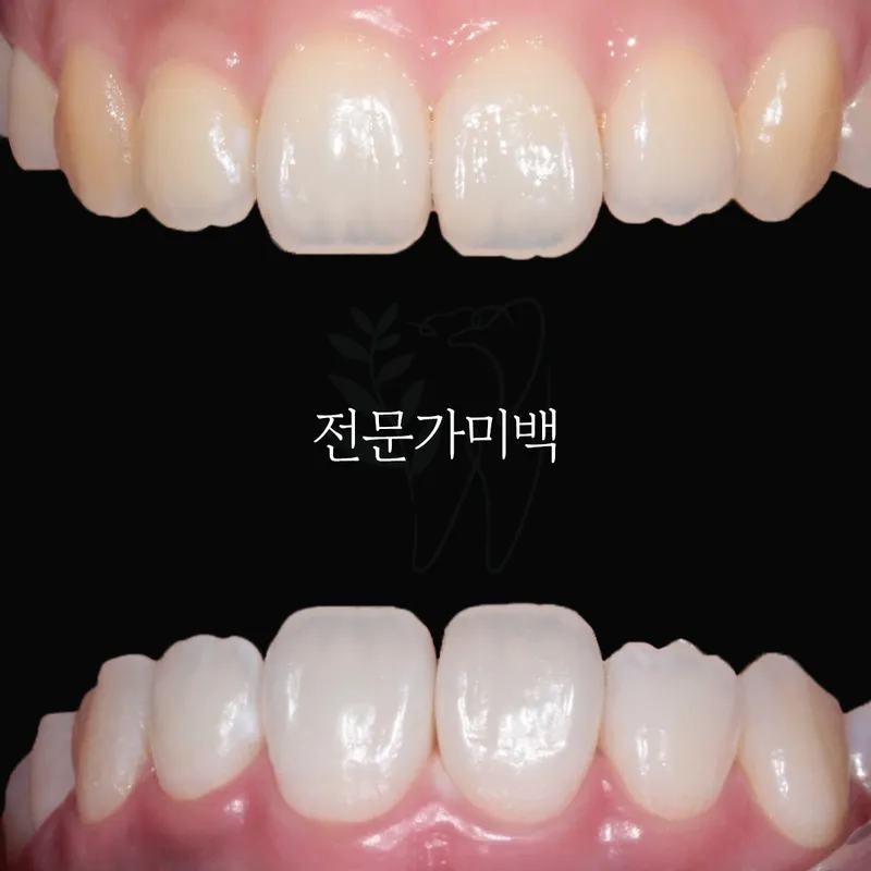 세이지치과의원