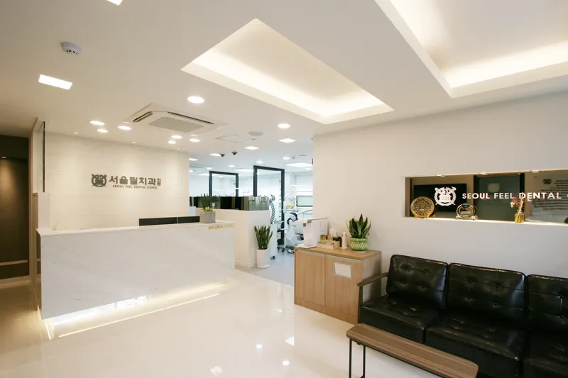 Seoul Fill Clinic