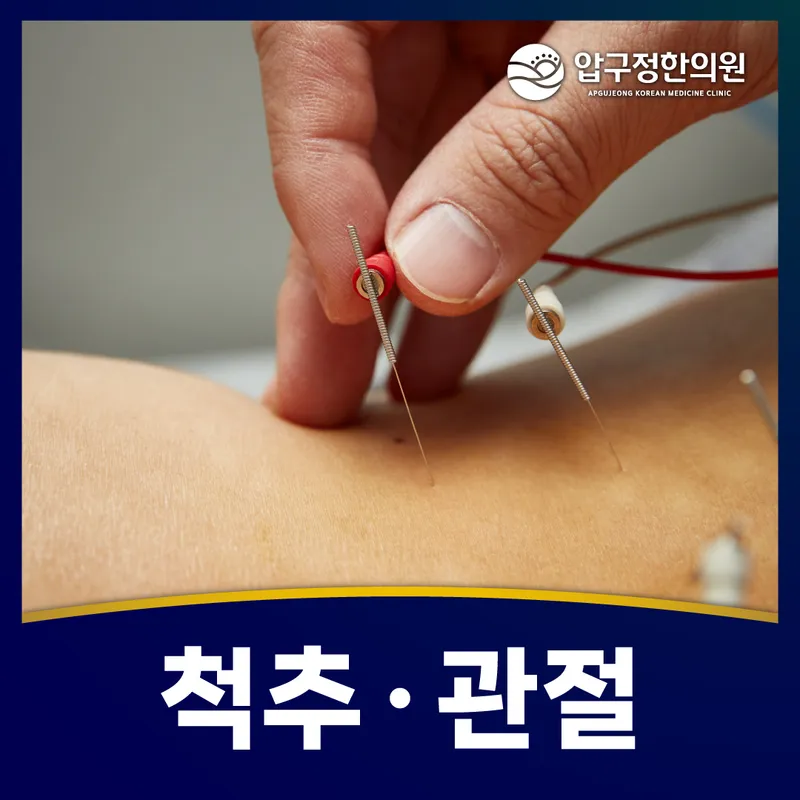 Apgujeong Korean Medicine Clinic