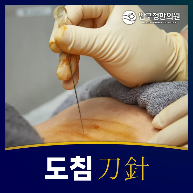 Apgujeong Korean Medicine Clinic