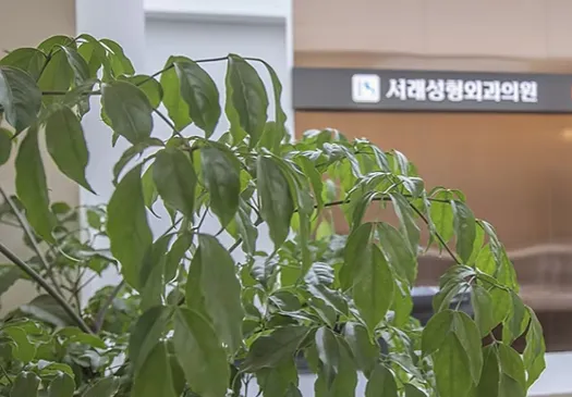 Sorae Plastic Surgery Clinic