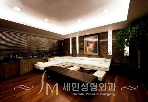 Semin Plastic Surgery Clinic