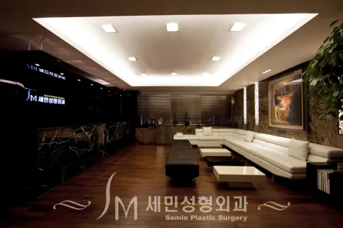 Semin Plastic Surgery Clinic