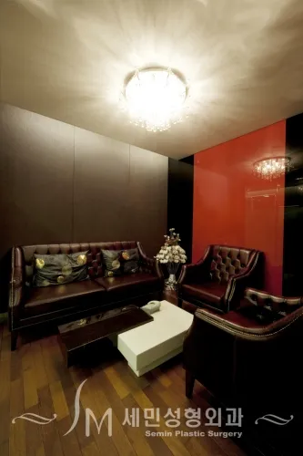 Semin Plastic Surgery Clinic