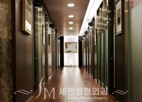 Semin Plastic Surgery Clinic