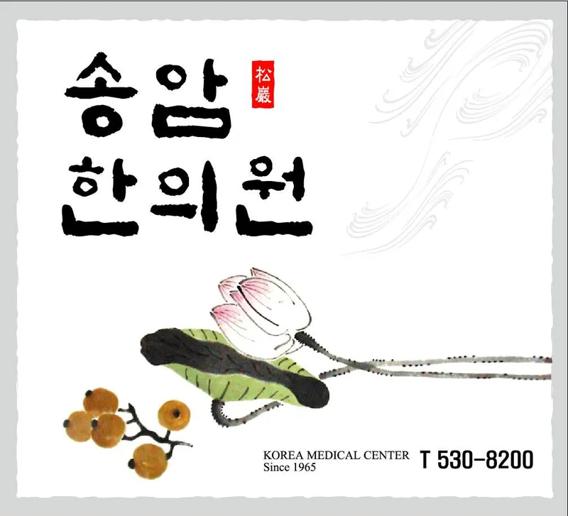 Songam Korean Medicine Clinic