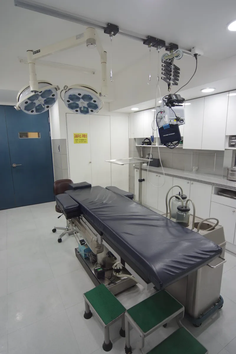 Dr. Bonsang Plastic Surgery Clinic