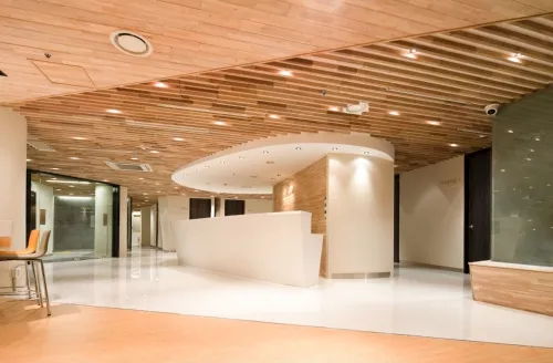 Yonsei Plastic Surgery Clinic