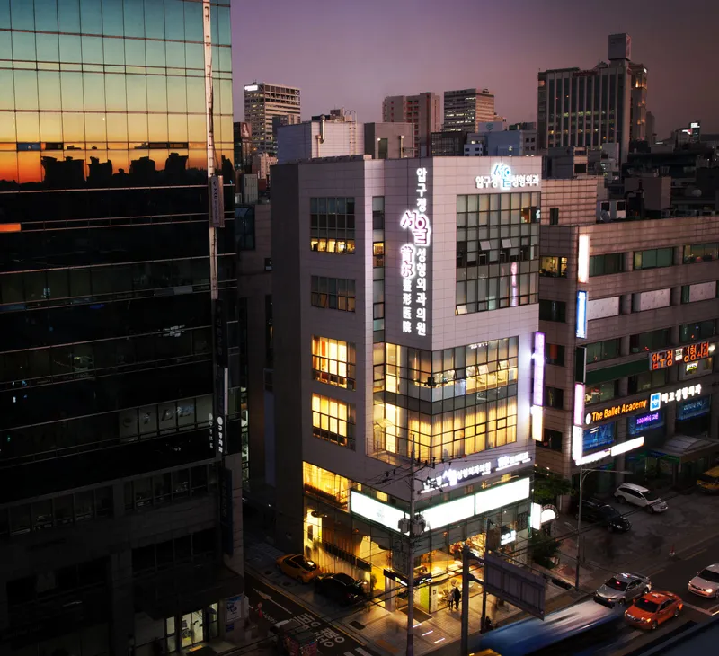 Apgujeong Seoul Plastic Surgery Clinic