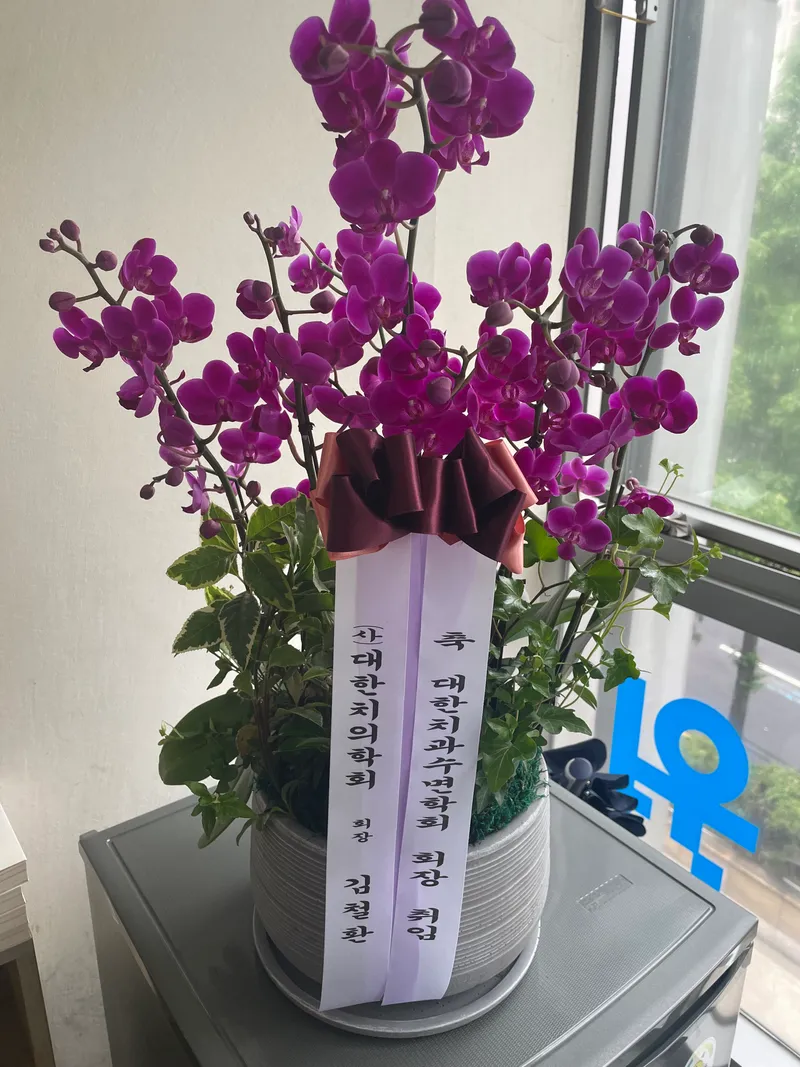 일리노이치과교정과치과의원