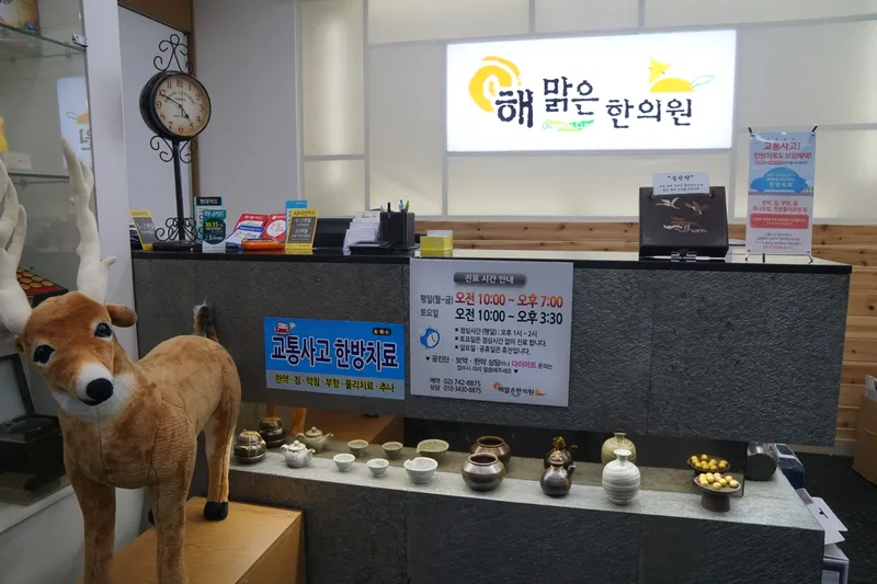 Haemalgeun Korean Medicine Clinic