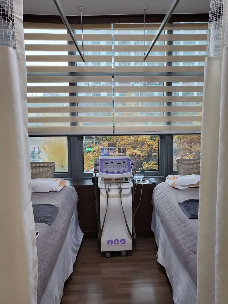 Areumdeuri Korean Medicine Clinic