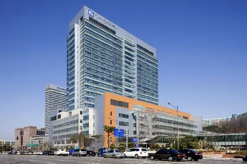 Catholic University Seoul St. Mary's Hospital