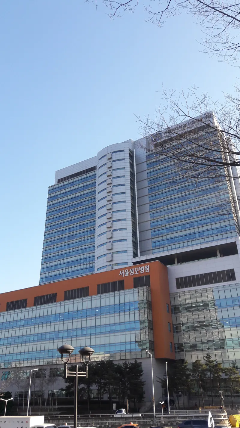 Catholic University Seoul St. Mary's Hospital