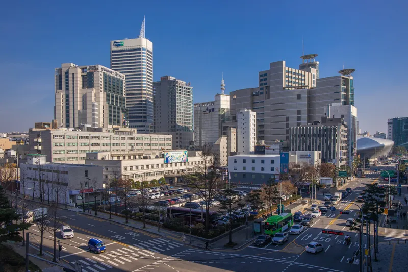 National Center for Neurology and Psychiatry