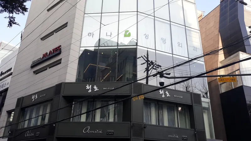 Hanah Plastic Surgery Clinic