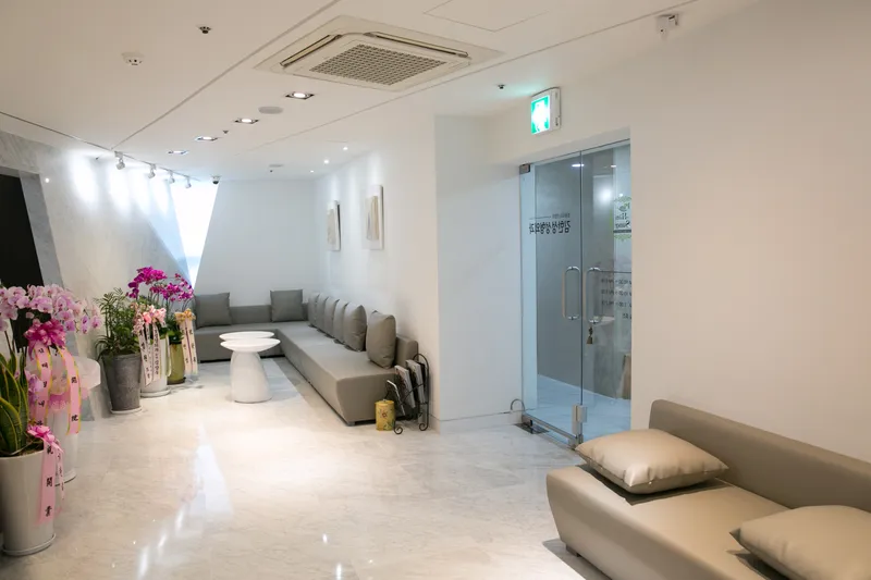 Kim Han Sung Plastic Surgery Clinic